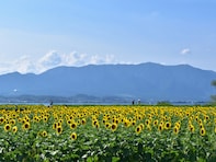 滋賀県民が選んだ「住みここち（自治体）」ランキング！ 2位「守山市」、1位は？