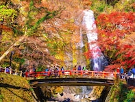 関西圏民が選んだ「住みここち（自治体）」ランキング！ 2位「箕面市」、1位は？【2025年調査】