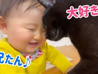 「本当にお兄ちゃん」成長する赤ちゃんと保護猫の様子に「ほっこり」「本当の兄弟みたい」の声！