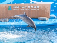 好き＆行ってみたい「東北の水族館」ランキング！ 2位「仙台うみの杜水族館」、1位は？【2025年調査】
