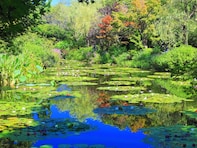 夏に行きたい「高知県の避暑観光地」ランキング！ 「北川村『モネの庭』マルモッタン」を抑えた1位は？