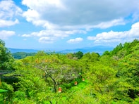 夏に行きたい「大阪府の絶景ドライブスポット」ランキング！ 2位「妙見山スカイライン」、1位は？【2025年調査】