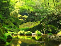 夏に行きたい「大分県の穴場秘境」ランキング！ 2位「深耶馬溪」、1位は？【2025年調査】