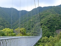 夏に行きたい「宮崎県の穴場秘境」ランキング！ 2位「綾の照葉大吊橋」、1位は？【2025年調査】
