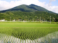 夏に行きたい「茨城県の穴場温泉地」ランキング！ 「筑波山温泉」を大差で抑えた1位は？【2025年調査】