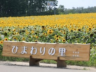 夏に行きたい「北海道の道の駅」ランキング！ 2位「サンフラワー北竜」、1票差の1位は？【2025年調査】