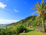 宮崎県民が選んだ「住みたい街（自治体）」ランキング！ 2位「宮崎市」、1位は？【2025年最新】