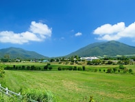 夏に行きたい「岡山県の絶景ドライブスポット」ランキング！ 「蒜山高原・蒜山ジャージーランド」周辺ルートを抑えた1位は？