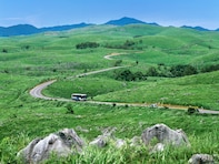 夏に行きたい「山口県の絶景ドライブスポット」ランキング！ 「秋吉台カルストロード・秋芳洞」周辺ルートを抑えた1位は？