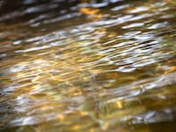 佐賀県で「夏に行きたい穴場の温泉地」ランキング！ 2位「古湯･熊の川温泉」を抑えた1位は？【2025年調査】
