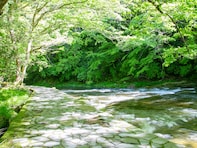 好き＆行ってみたい「千葉県の森林浴スポット」ランキング！ 2位「養老渓谷」、1位は？【2025年調査】
