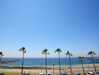 好き＆行ってみたい「和歌山県の道の駅」ランキング！ 2位「志原海岸」を抑えた1位は？【2025年調査】