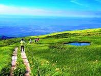 好き＆行ってみたい「山形県の森林浴スポット」ランキング！ 2位「月山」を抑えた1位は？【2025年調査】