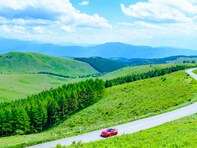 好き＆行ってみたい「長野県の森林浴スポット」ランキング！ 2位「霧ヶ峰高原」を抑えた1位は？【2025年調査】