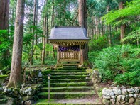 好き＆行ってみたい「富山県の森林浴スポット」ランキング！ 2位「立山（雄山）」を抑えた1位は？【2025年調査】