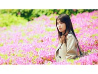 【Amazonプライムビデオ】『花まんま』は兄弟の不思議な記憶をめぐる感動作！【8月新作】