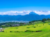 山梨県の13市で「老後に住みたい」と思う市ランキング！ 2位「南アルプス市」、1位は？【2025年調査】