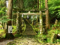 好き＆行ってみたい「福岡県の森林浴スポット」ランキング！ 「英彦山」を倍以上の票数で抑えた1位は？