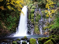 好き＆行ってみたい「熊本県の森林浴スポット」ランキング！ 2位「白糸の滝」を抑えた、圧倒的1位は？