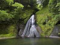 和歌山県で「夏に行きたい滝」ランキング！ 2位「請川のお滝さん」、1位は？【2025年調査】