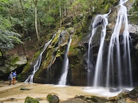 京都府で「夏に行きたい滝」ランキング！ 2位「金引の滝」、1位は？【2025年調査】