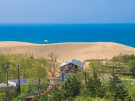 好き＆行ってみたい「鳥取県の森林浴スポット」ランキング！ 2位「鳥取砂丘オアシス広場」を抑えた1位は？【2025年調査】