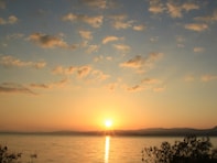 好き＆行ってみたい「島根県の森林浴スポット」ランキング！ 2位「宍道湖西岸森林帯」、1票差の1位は？【2025年調査】