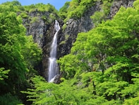 好き＆行ってみたい「香川県の森林浴スポット」ランキング！ 2位「不動の滝（綾川町）」を抑えた1位は？【2025年調査】