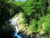 好き＆行ってみたい「高知県の森林浴スポット」ランキング！ 2位「轟の滝（津野町）」を抑えた1位は？【2025年調査】