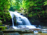 長崎県で「夏に行きたい滝」ランキング！ 2位「つがね落しの滝」を6票差で抑えた1位は？【2025年調査】