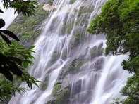 鹿児島県で「夏に行きたい滝」ランキング！ 2位「大川の滝」を僅差で抑えた1位は？【2025年調査】