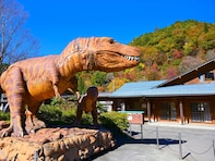 グルメが魅力的だと思う福井県の道の駅ランキング！ 2位「九頭竜（大野市）」を抑えた1位は？【2025年調査】