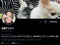 広瀬アリス、“エゴサ”で一般人に「ええやないかい」と反応「またいつも通り自分の名前検索してるんか笑」