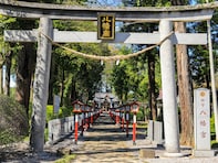 「栃木県の開運神社」ランキング！ 2位「薬師寺八幡宮」、1位は？【2025年調査】