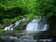 岩手県で「夏に行きたい滝」ランキング！ 2位「釜淵の滝」を抑えた、圧倒的1位は？【2025年調査】