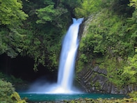 静岡県で「夏に行きたい滝」ランキング！ 「浄蓮の滝」を大差で抑えた1位は？【2025年調査】