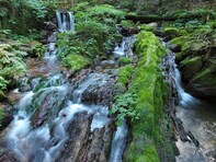 福井県で「夏に行きたい滝」ランキング！ 2位「瓜割の滝」を抑えた、圧倒的1位は？【2025年調査】