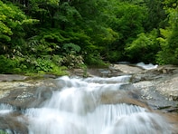 富山県で「夏に行きたい滝」ランキング！ 「龍神の滝」を倍以上の票数で抑えた1位は？【2025年調査】