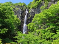 香川県で「夏に行きたい滝」ランキング！ 2位「不動の滝」、1位は？【2025年調査】