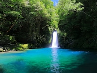 高知県で「夏に行きたい滝」ランキング！ 2位「にこ淵」、1位は？【2025年調査】