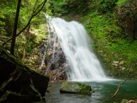 広島県で「夏に行きたい滝」ランキング！ 2位「ふぶきの滝」、1位は？【2025年調査】