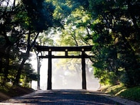 森林浴の森百選で行ってみたい「関東の森林浴スポット」ランキング！ 2位「明治神宮の森」、1位は？