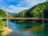 森林浴の森百選で行ってみたい「北信越の森」ランキング！ 2位「九頭竜国民休養地」、1位は？【2025】