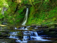 森林浴の森百選で行ってみたい「東海の森林浴スポット」ランキング！ 2位「赤目四十八滝」、1位は？