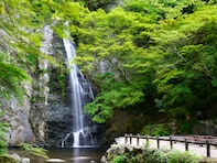 日本百名滝の中で行ってみたい「近畿地方の滝」ランキング！ 2位「箕面滝」、1位は？【2025年調査】