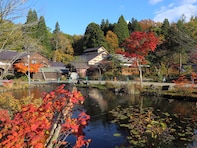 名湯百選の中で、好き＆行ってみたい「北東北の温泉」ランキング！ 2位「十和田湖温泉郷」を1票差で抑えた1位は？
