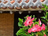 「来世はここに生まれたい！」と思う都道府県ランキング！2位「沖縄県」、1位は？