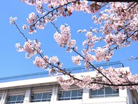 教育方針が魅力的だと思う「広島県の公立進学校」ランキング！ 2位「広島高等学校」を抑えた1位は？【2025年調査】