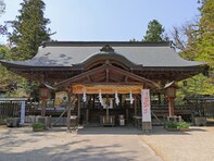 「ナンバープレートにしたい」と思う奈良県の地名ランキング！ 2位「天理市」、1位は？【2025年調査】