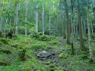 好き＆行ってみたい「広島県のダム」ランキング！ 「飯ノ山ダム」を大差で抑えた1位は？【2025年調査】